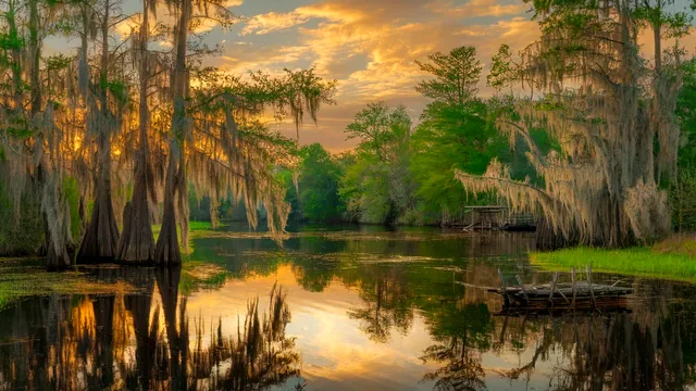 New Orleans, Louisiana location directory thumbnail